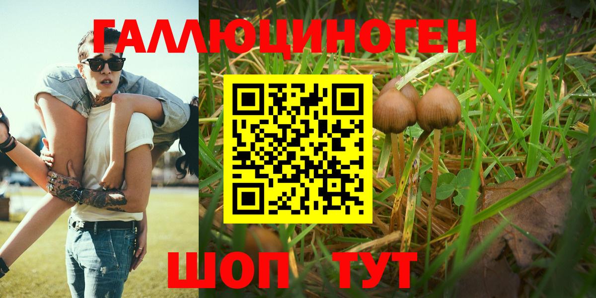 Мурманск  купить наркотик  Вход с VPN  Галлюциногенные грибы мицелий 