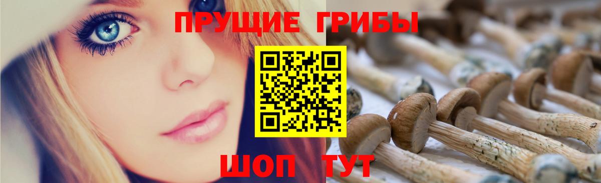 Псилоцибиновые грибы Magic Shrooms Мурманск