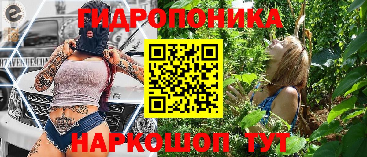 Канабис ГИДРОПОН Мурманск